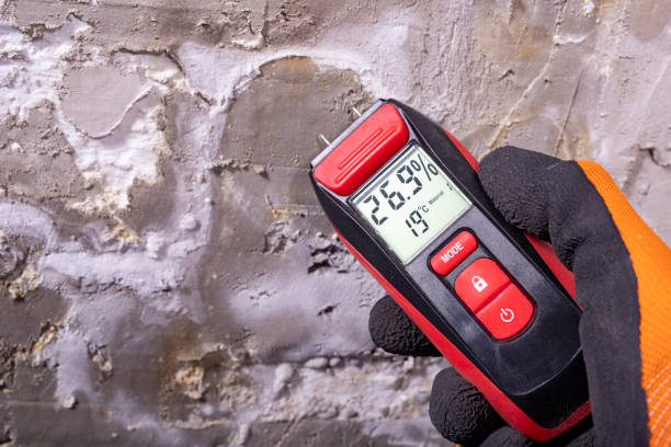 Best Local Mold Removal Service  in Belgrade, MT