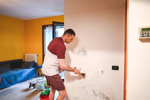 Best Black Mold Removal  in Belgrade, MT